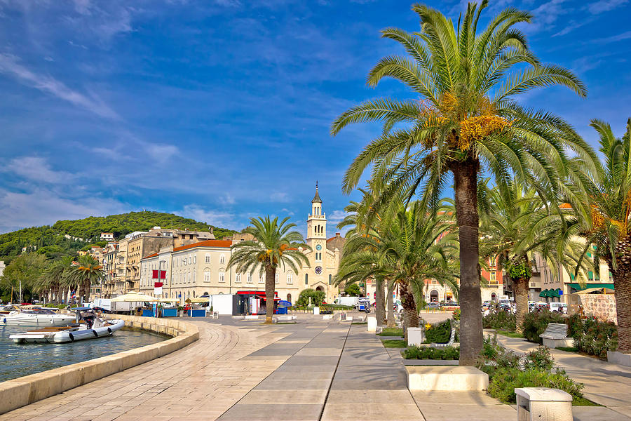 City of Split palm waterfront  Photograph by Brch Photography