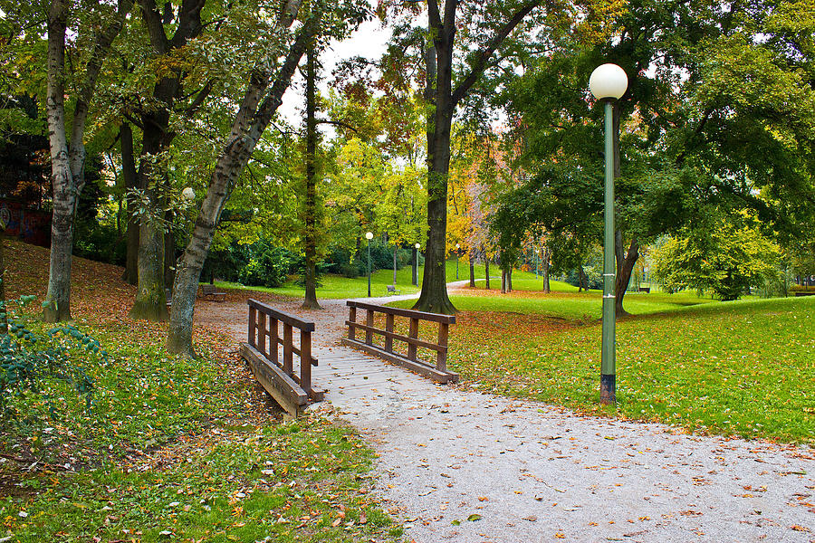 City of Zagreb autumn park Photograph by Brch Photography