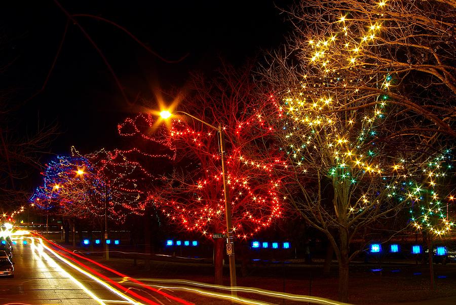 City Park Lights Photograph by Paul Wash