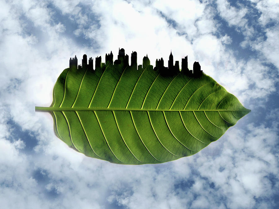 City Skyline On The Edge Of Green Leaf Photograph by Ikon Ikon Images