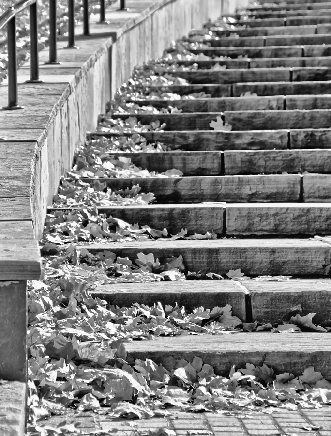City Steps 2 Mixed Media by Angelina Tamez