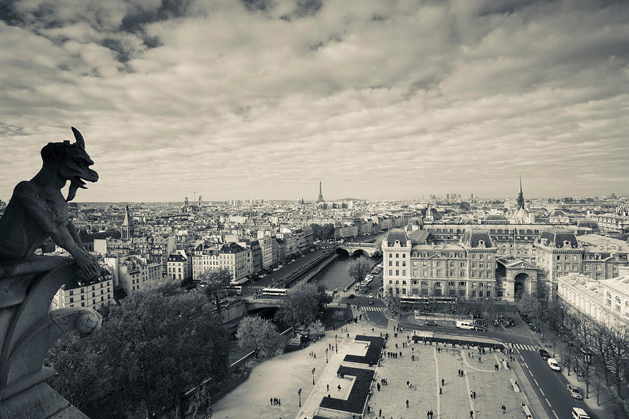 City Viewed From The Notre Dame Photograph by Panoramic Images