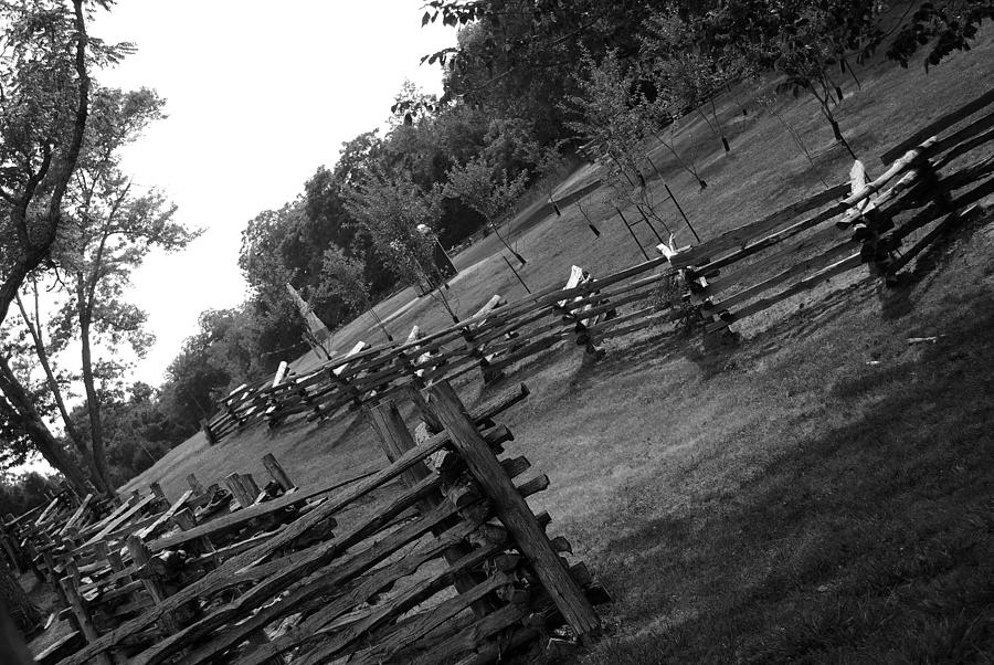 Civil War Fencerows b/w Photograph by Glory Ann Penington