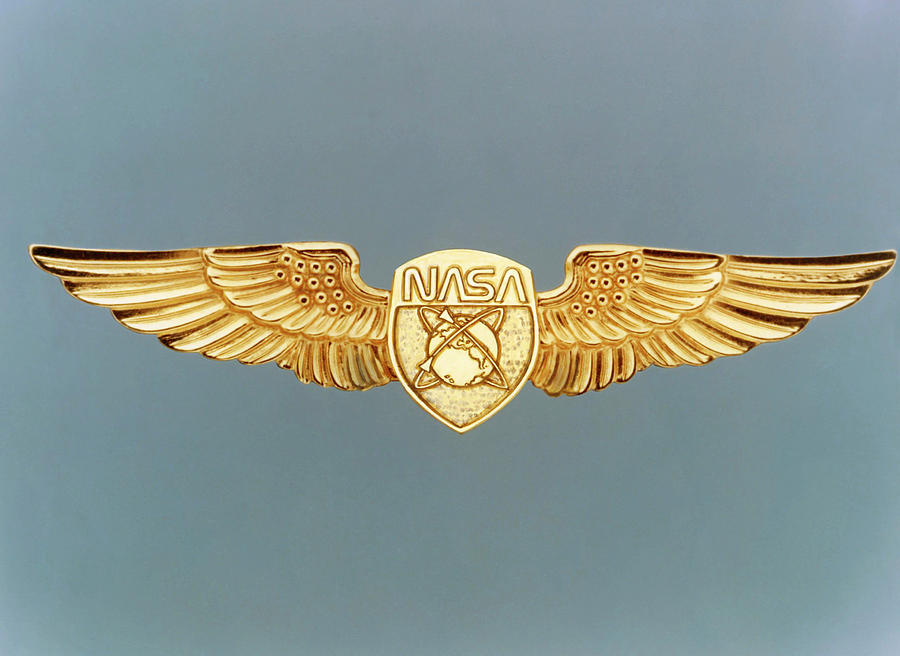 printable nasa logo wings
