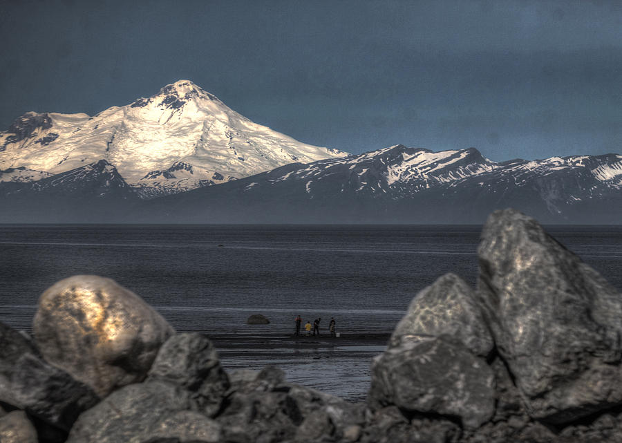 Clam Photograph - Clamming on the Cook Inlet by David Kehrli