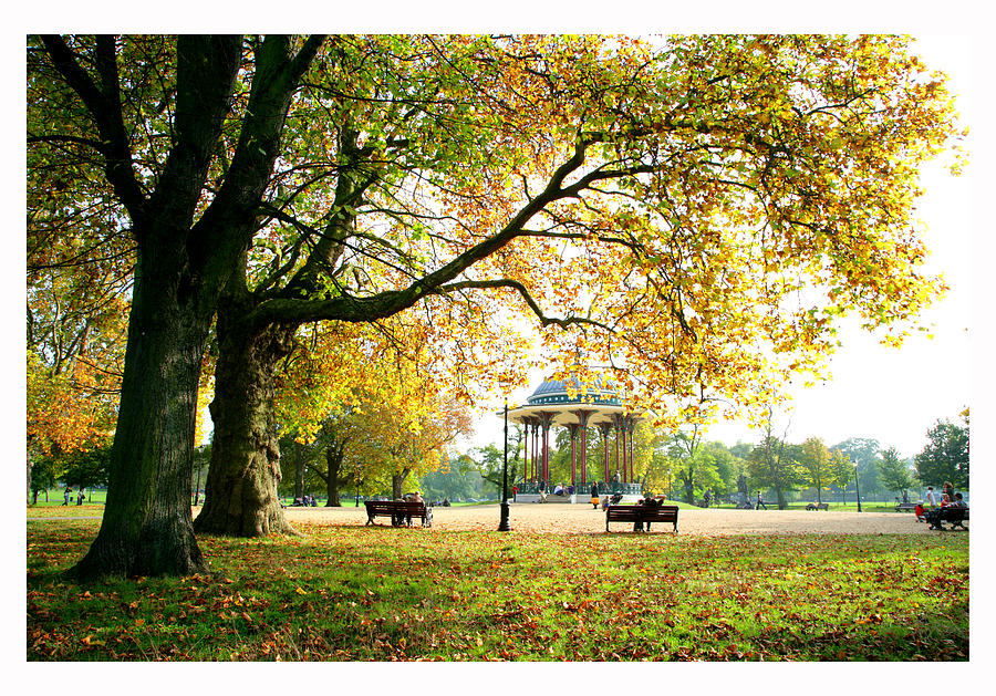 Clapham Common Autumn Photograph by Mark Anderson