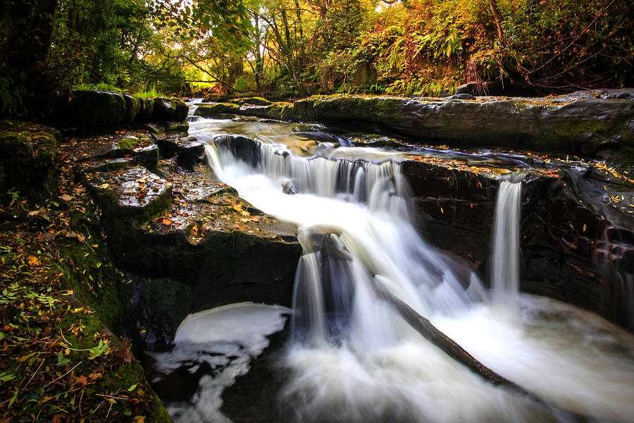Clare Glens Photograph