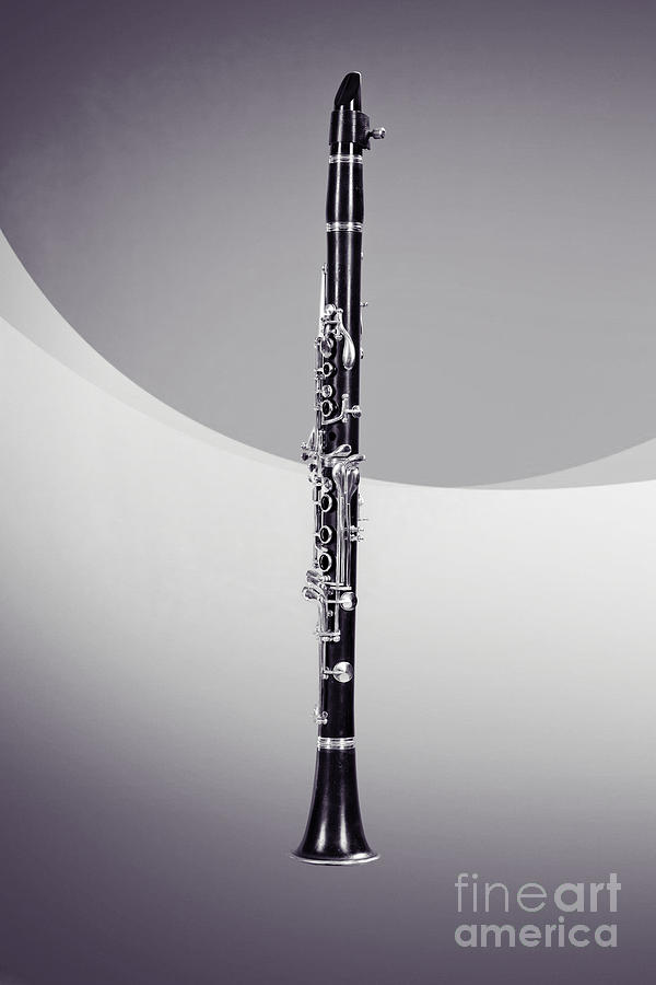 Clarinet Instrument Music Black and White Sepia 3257.01 Photograph by M K Miller
