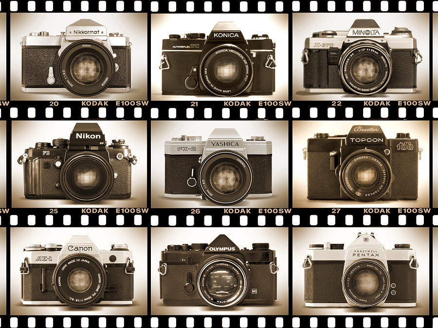 Classic 35mm S L R Cameras Photograph by Mike McGlothlen