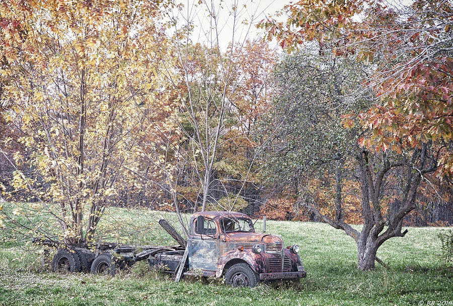 Classic Autumn Photograph by Richard Bean