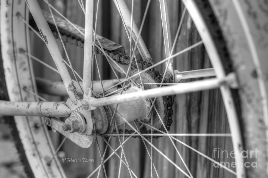 Spokes Photograph by Tap On Photo