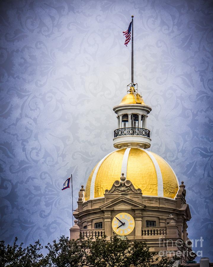 Classic Dome Photograph by Perry Webster