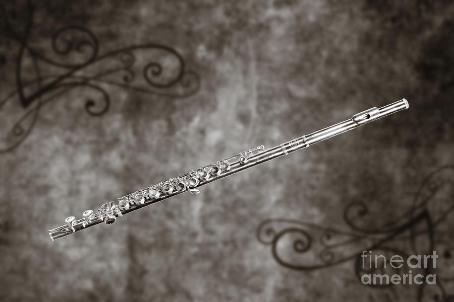 Music Photograph - Classic Flute music instrument photograph in sepia 3306.01 by M K Miller