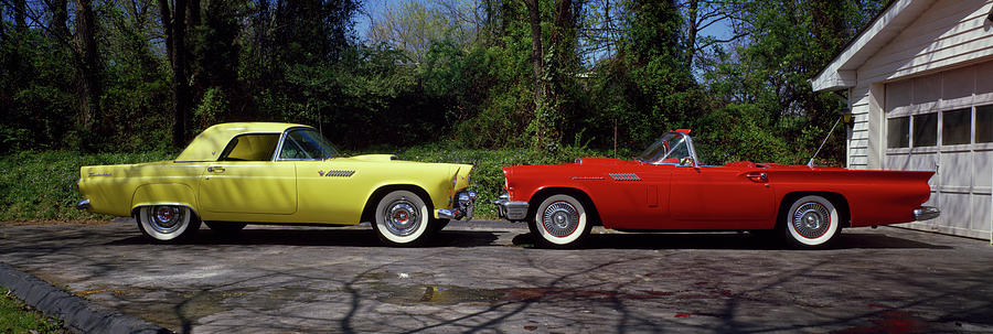 Classic Ford Thunderbird Cars Photograph by Panoramic Images