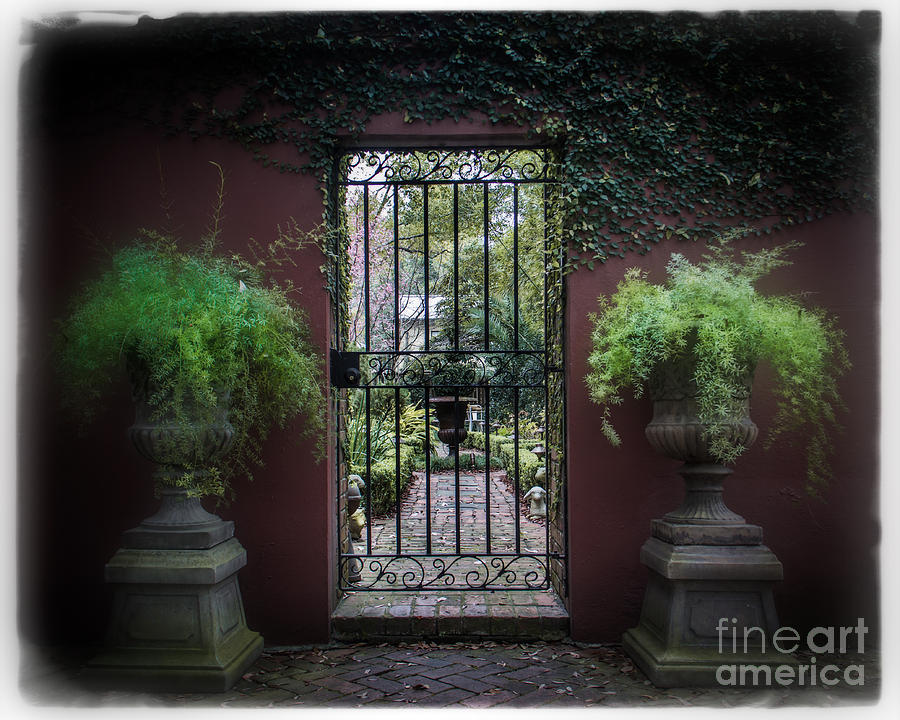 Classic Garden Gate Photograph by Perry Webster