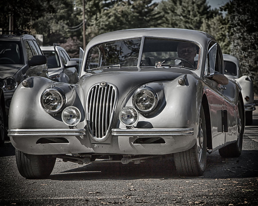 Classic Jaguar  Photograph by Alan Raasch