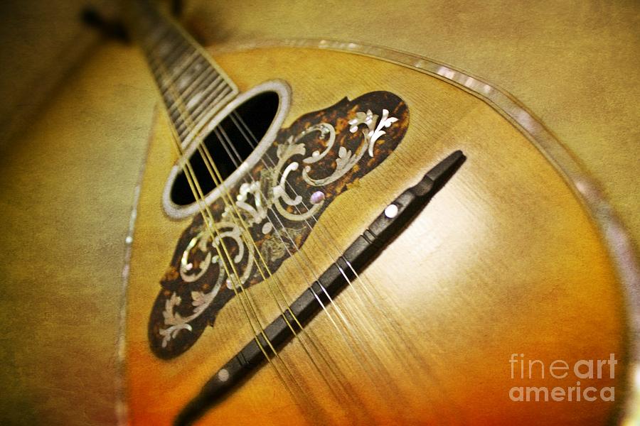Guitar Still Life Photograph - Classic Mandolin by Paul Cammarata