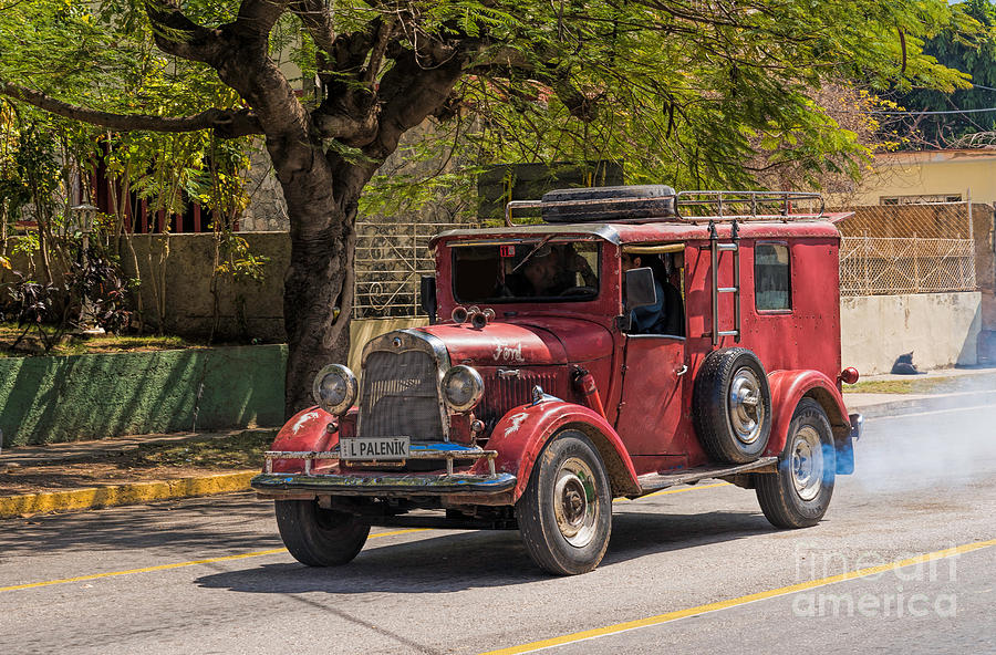 Tree Photograph - Classic Old Ford by Les Palenik