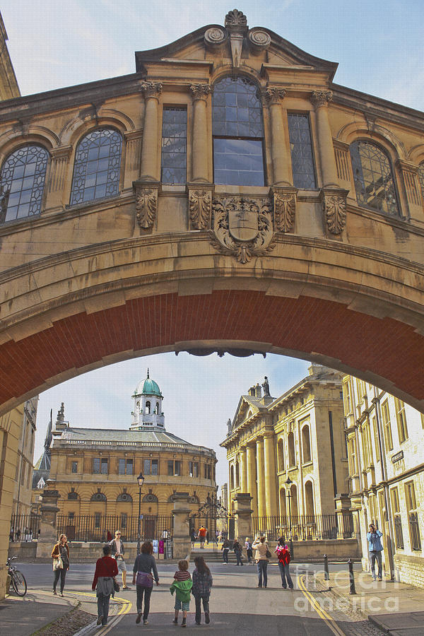 Classic Oxford textured Photograph by Terri Waters