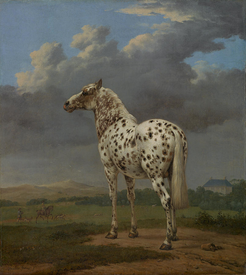 Classic Piebald Horse Painting Print Photograph by Georgia Clare