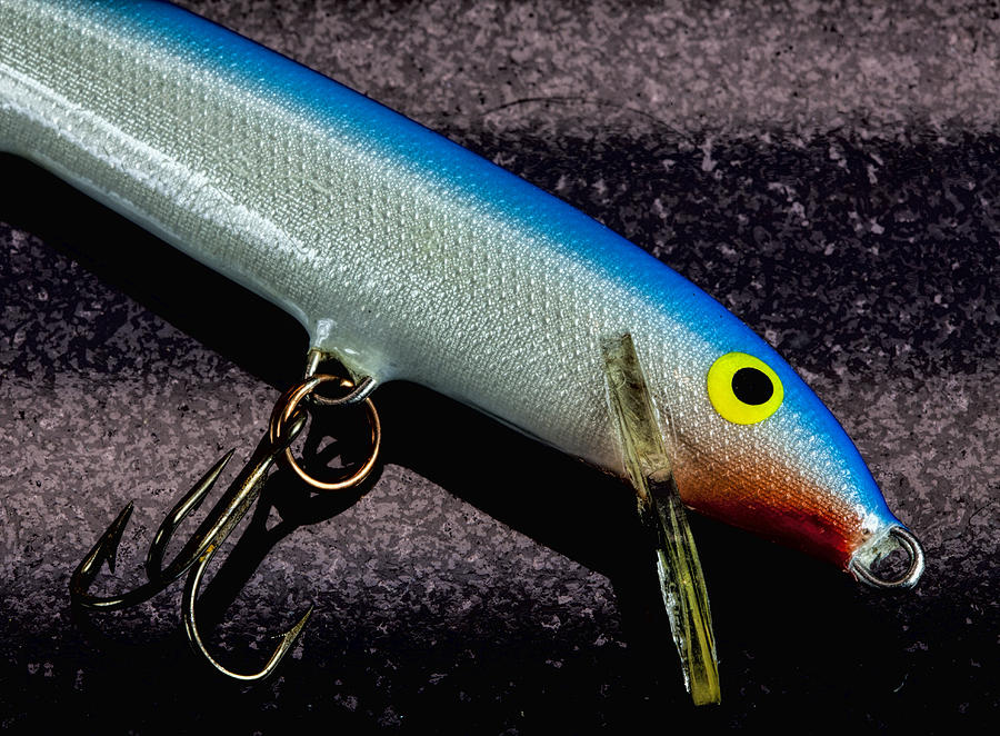Classic Rapala Photograph by John Crothers