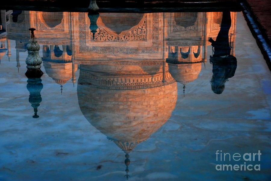 Wanderer viewing the Taj Photograph by Jacqueline M Lewis