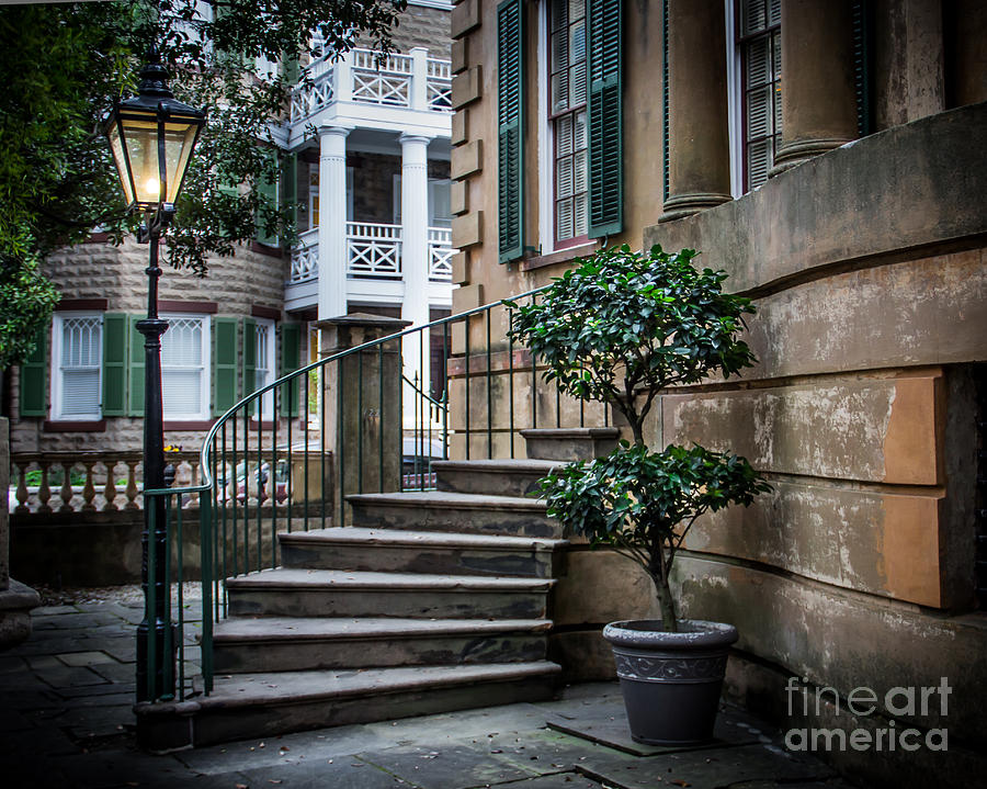 Up Movie Photograph - Classic Savannah by Perry Webster