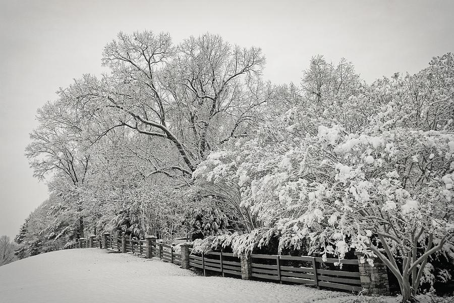 Classic Snow Photograph by Carol Whaley Addassi