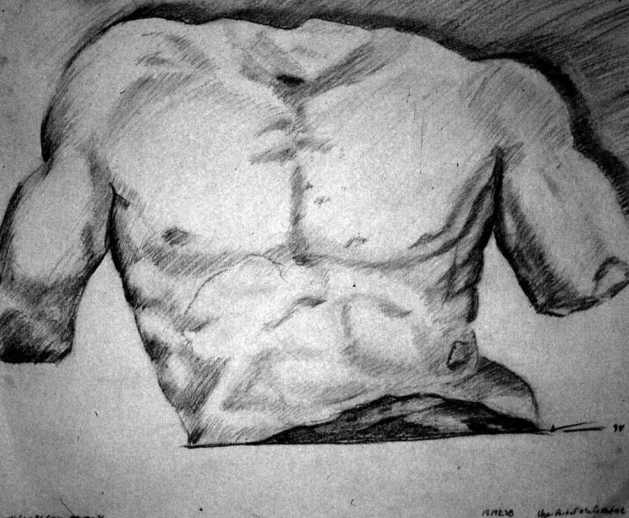 drawing of a woman's torso