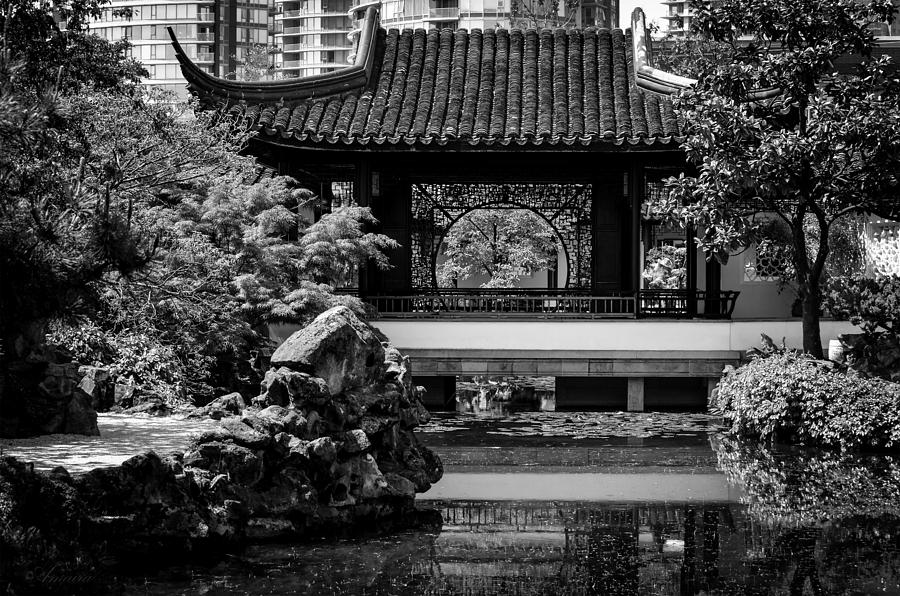 Classical Chinese garden Photograph by Maria Angelica Maira