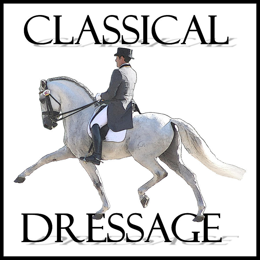 Classical Dressage Photograph by CarolLMiller Photography