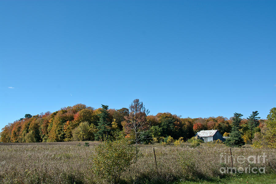 Clear Autumn Country Sky Photograph by Cheryl Baxter