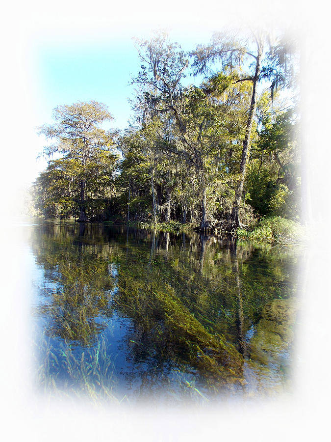 Clear Blue Silver River  Photograph by Sheri McLeroy