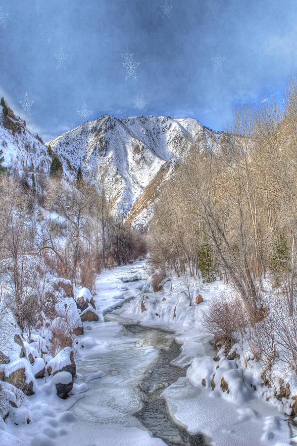 Clear Creek in the Winter Photograph by Juli Scalzi