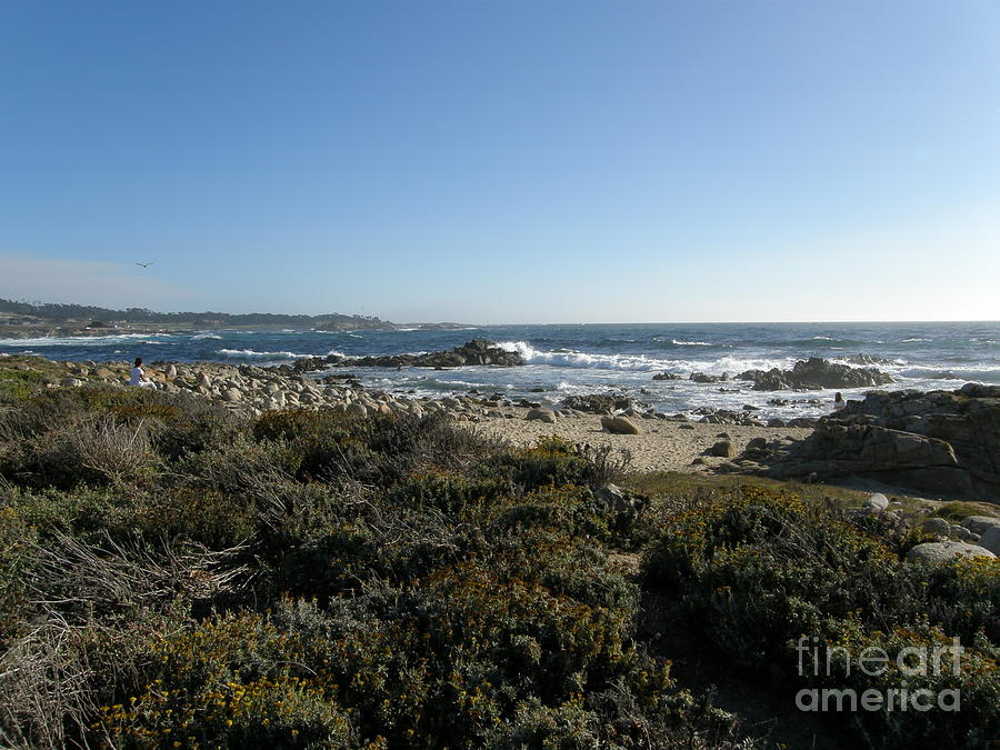 Clear Day at Asilomar Beach Photograph by Bev Conover