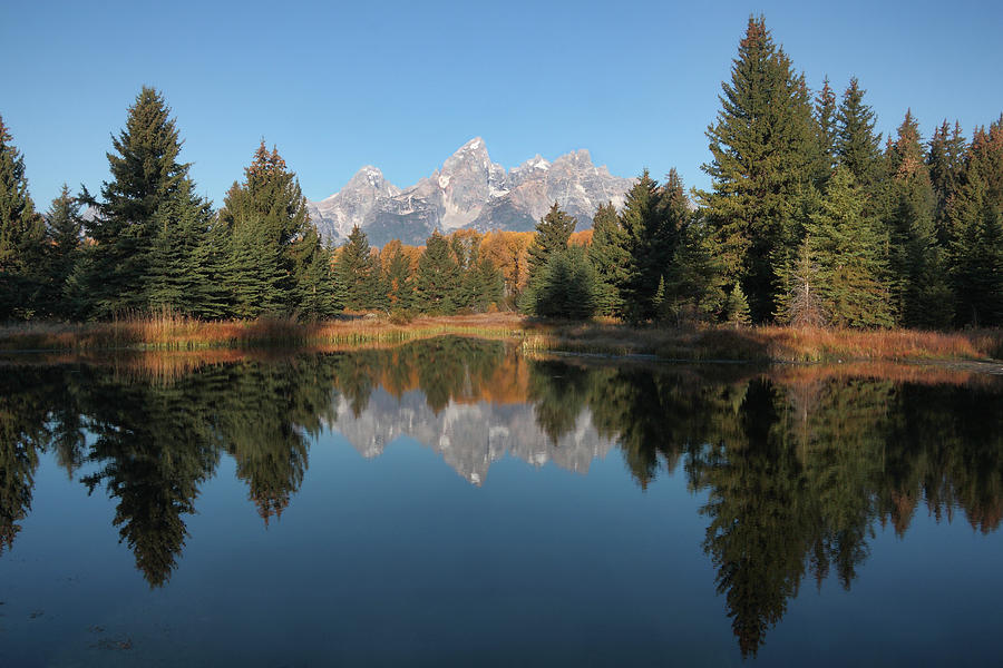 Clear Day at Scwabacher Photograph by Theo OConnor