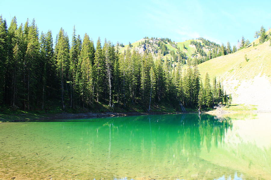 Clear Green Water Photograph by Catie Canetti