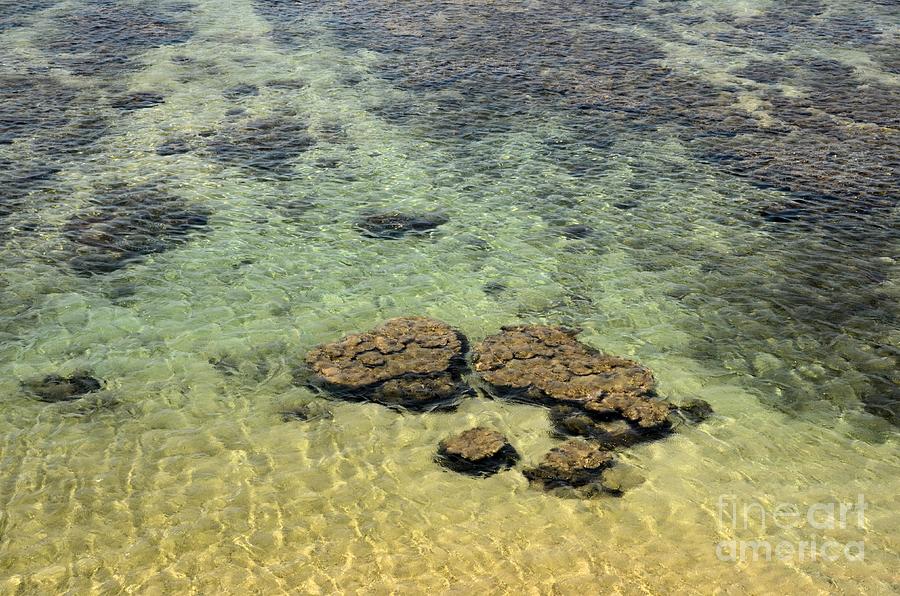 Clear Indian Ocean water with rocks at Galle Sri Lanka Photograph by Imran Ahmed