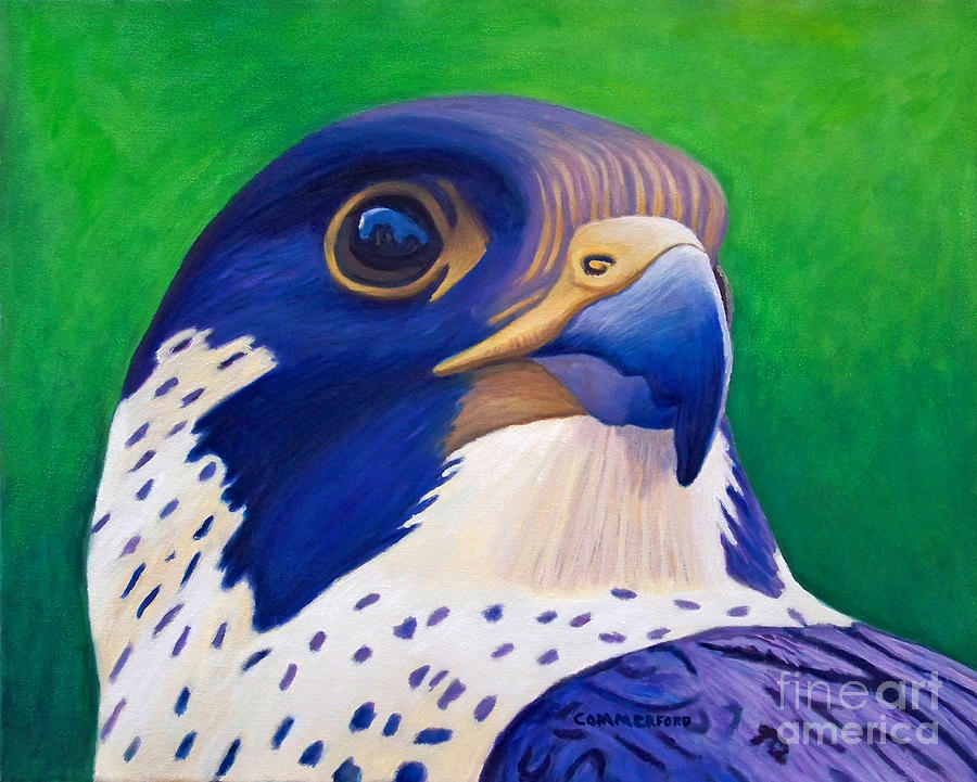 Falcon Painting - Clear Light by Brian  Commerford