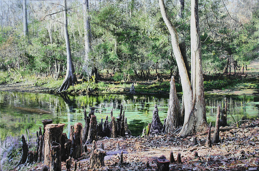 Clear Skies Over Manatee Springs Painting by Richard Barone