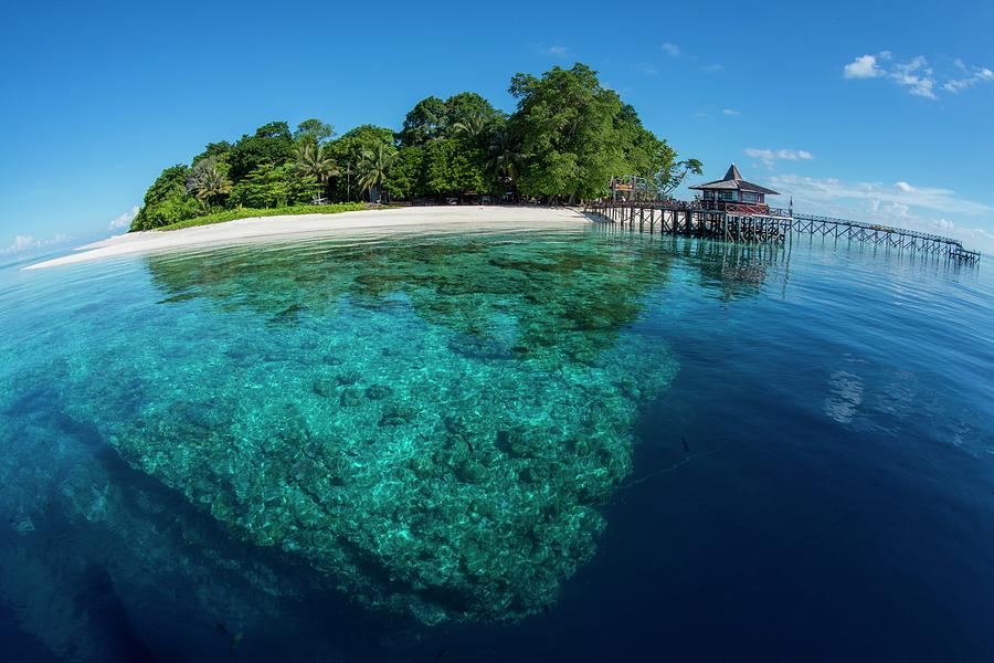 Clear Water Off Sipadan Island Photograph by Scubazoo