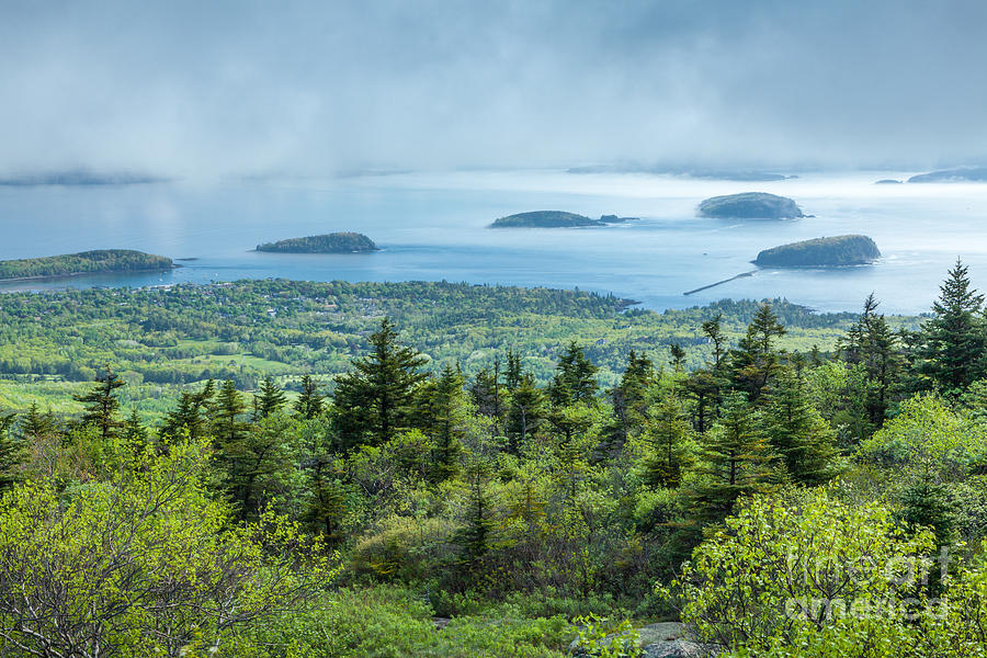 Clearing fog over Frenchman Bay in Acadia Photograph by Susan Cole Kelly