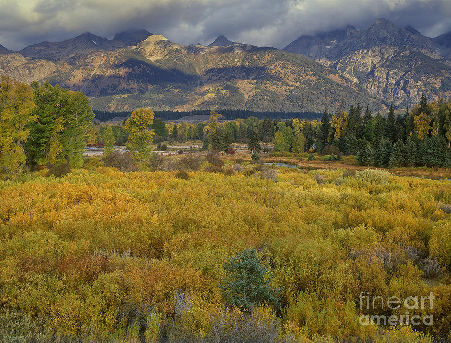 Clearing Storm Blacktail Ponds Grand Tetons National Park Photograph by Dave Welling