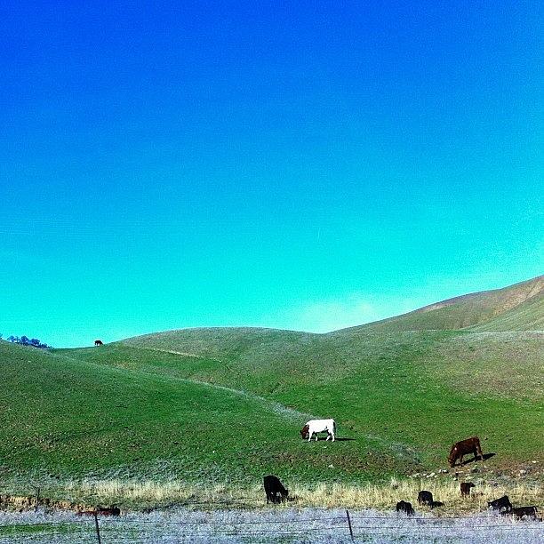 Mountain Photograph - #clearlake #california #movinghere by Karen Clarke