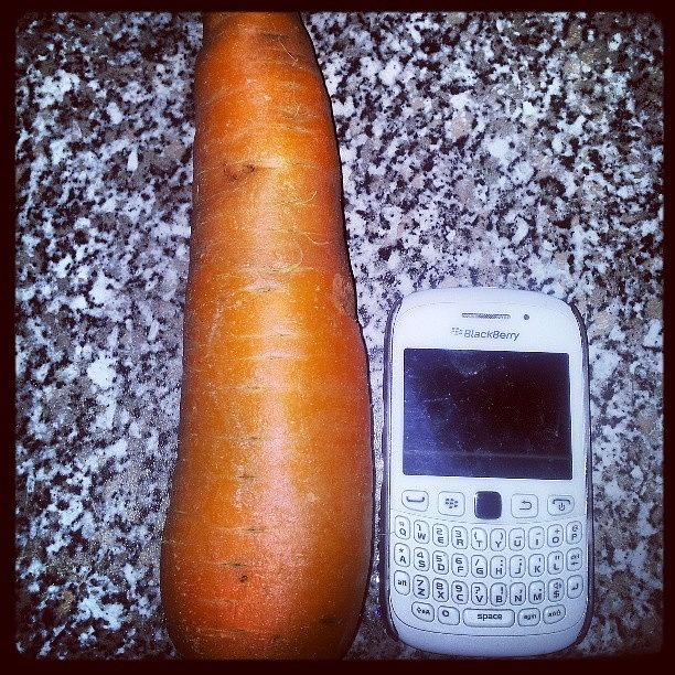 Clearly On The Roids Mr Carrot Photograph by Stacey Millar