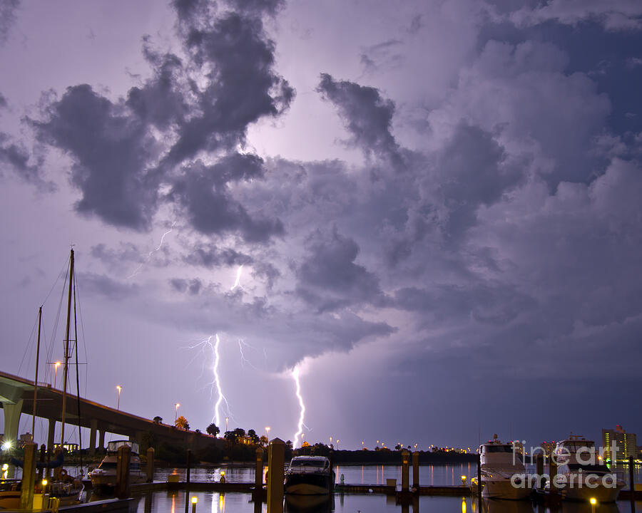 Clearwater Harbor Photograph by Stephen Whalen - Fine Art America