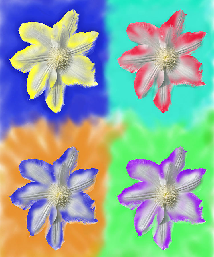 Clematis Osmosis Three by Randy Grosse Clematis Osmosis Three by Randy Grosse