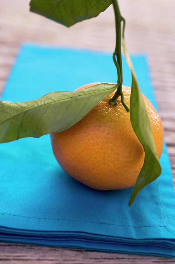 clementines with leaves clementines with leaves