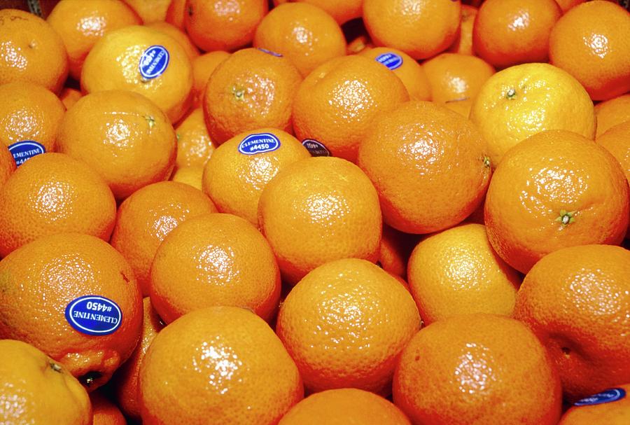 Clementines Photograph by Annabella Bluesky/science Photo Library
