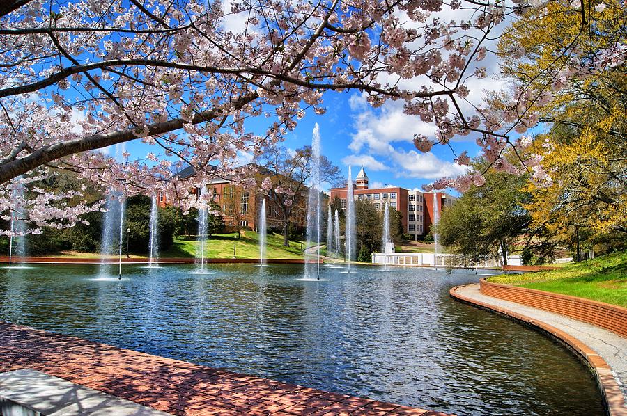 Clemson University Springtime Photograph By Richie Knight Fine Art America